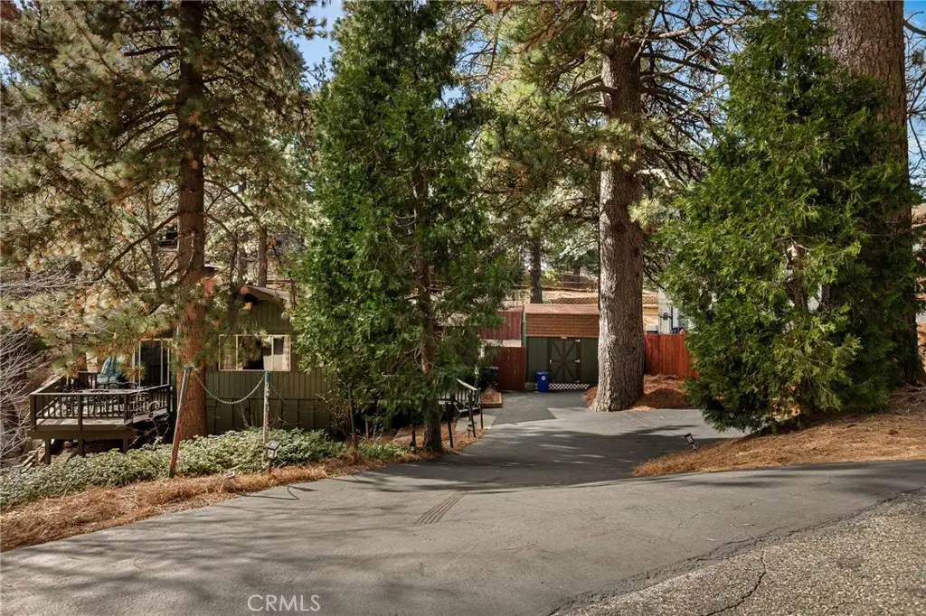 30789 All View, Running Springs, CA 92382 - #1