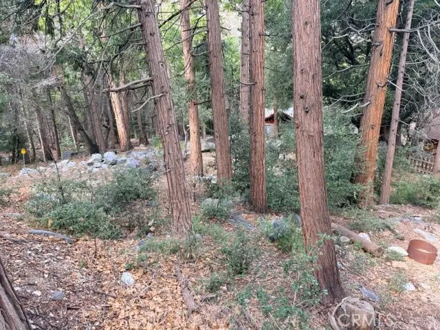 40904 Spruce, Forest Falls, CA 92339 - #1