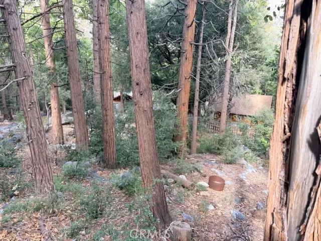 40904 Spruce, Forest Falls, CA 92339 - #2