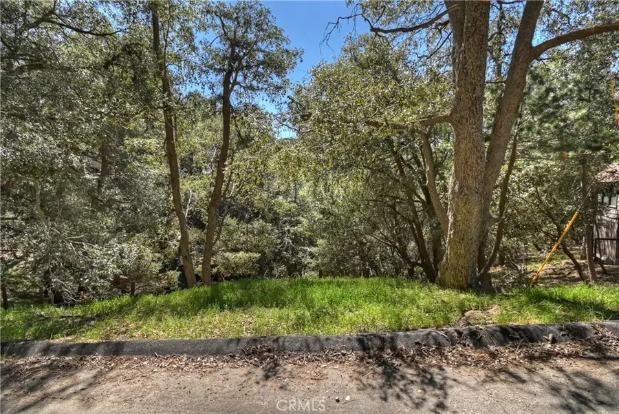 23491 Short Way, Crestline, CA 92325 - #3
