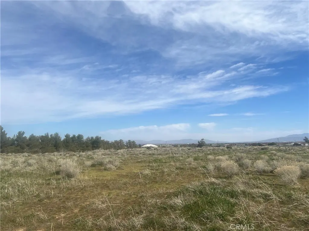 0 Vinton, Phelan, CA 92371 - #1