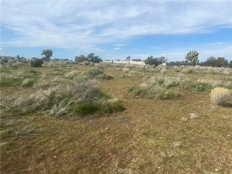 0 Vinton, Phelan, CA 92371 - #3