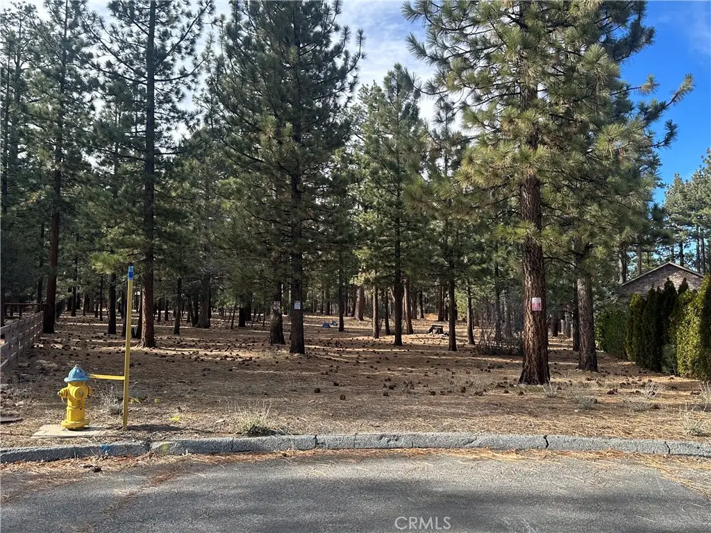 1801 Shady, Big Bear City, CA 92314 - #1