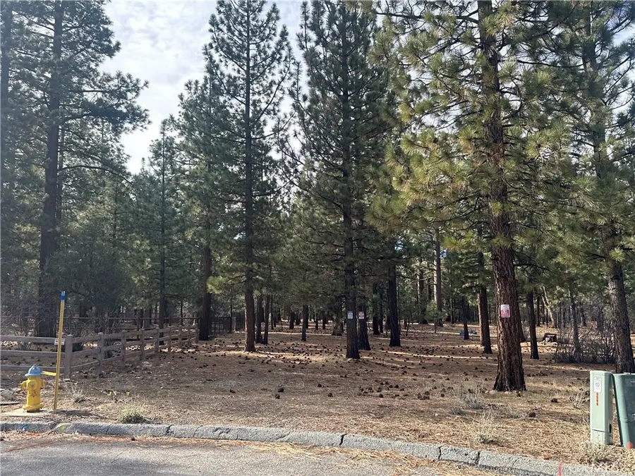 1801 Shady, Big Bear City, CA 92314 - #2