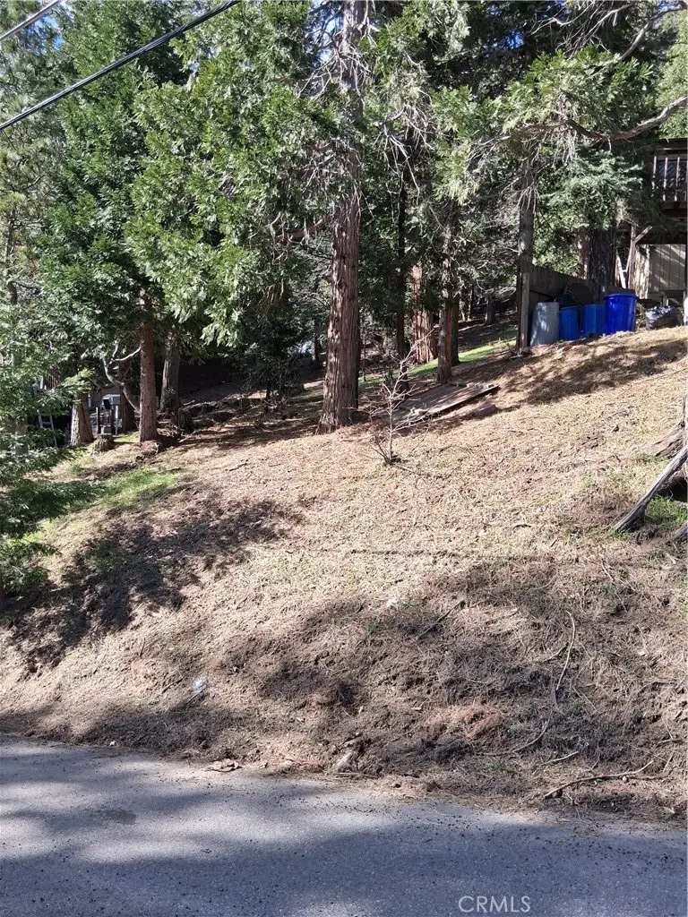 0 Bernard Drive, Crestline, CA 92325 - #2