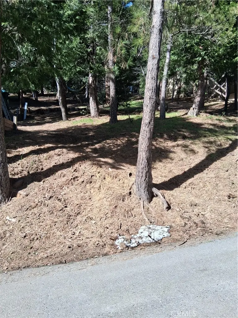 0 Bernard Drive, Crestline, CA 92325 - #3