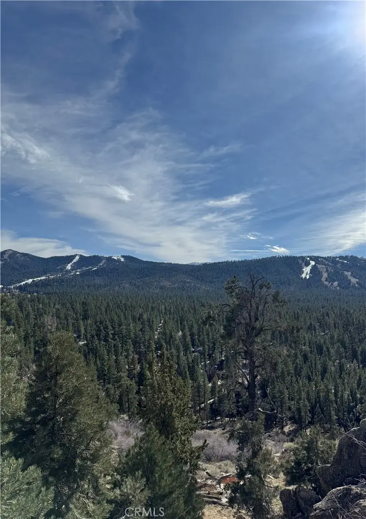 42535 Pegasus Way, Big Bear Lake, CA 92315 - #2