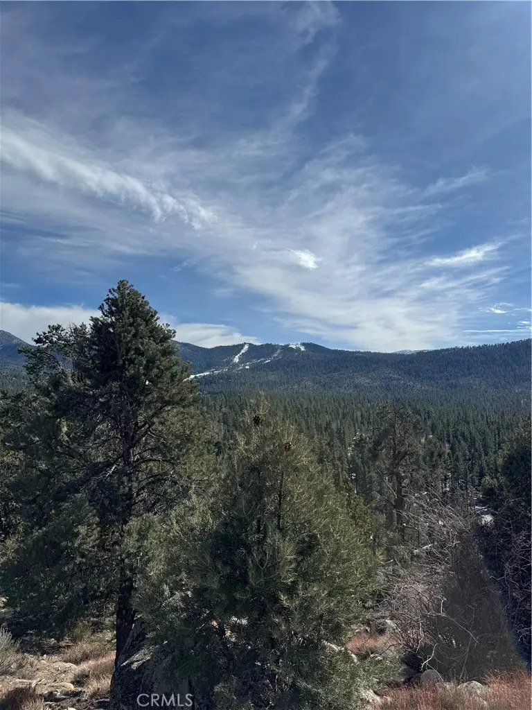 42535 Pegasus Way, Big Bear Lake, CA 92315 - #3