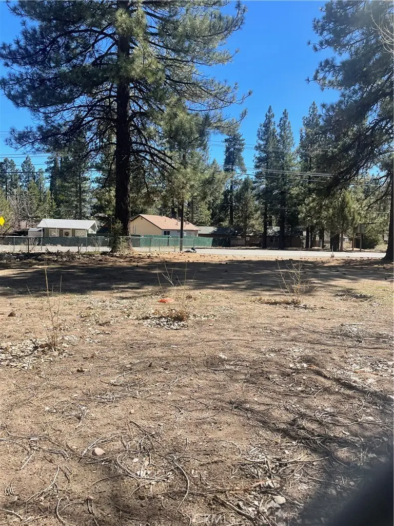 109 W North Shore Drive, Big Bear City, CA 92314 - #1