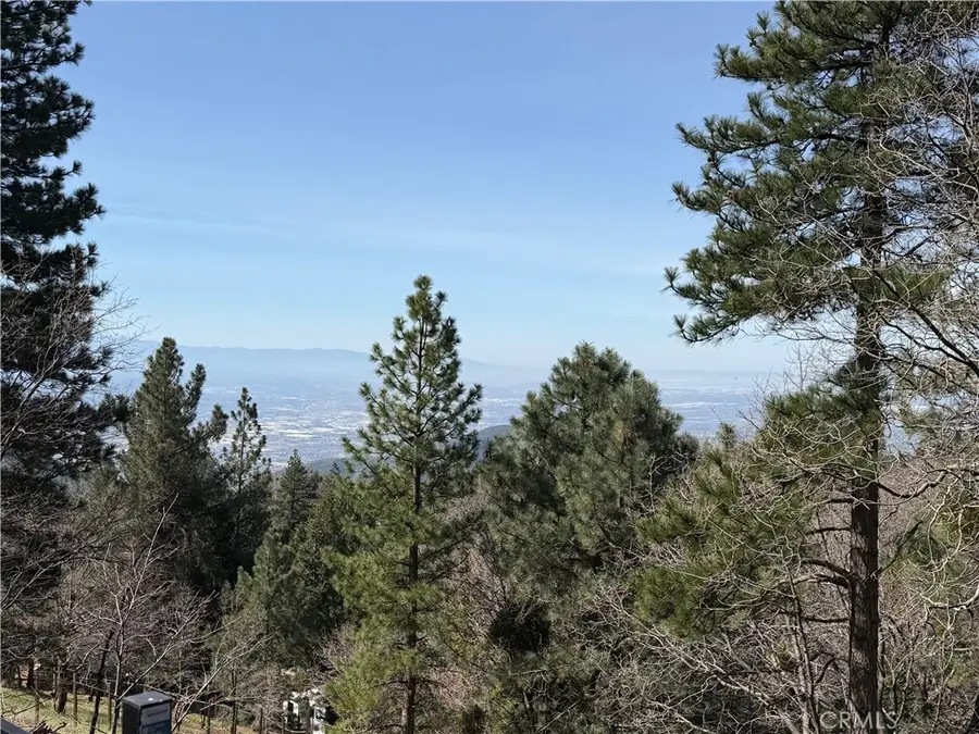 30445 Live Oak, Running Springs, CA 92382 - #2