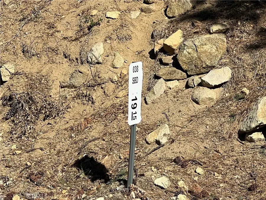 0 Ca-38, Angelus Oaks, CA 92305 - #3