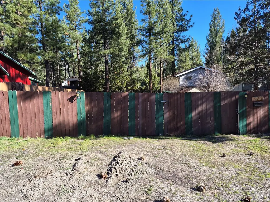 825 E Big Bear Blvd, Big Bear City, CA 92314 - #1