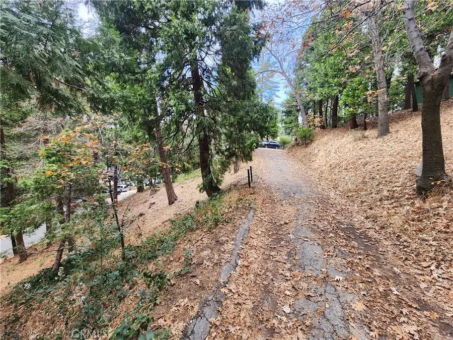 24397 Horst Drive, Crestline, CA 92325 - #2