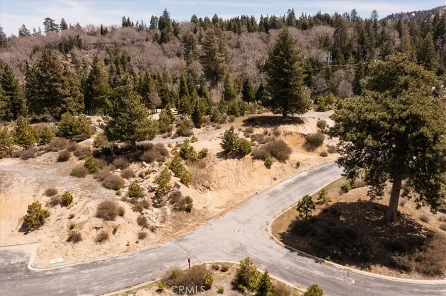 150 Mill Pond Road, Lake Arrowhead, CA 92352 - #3