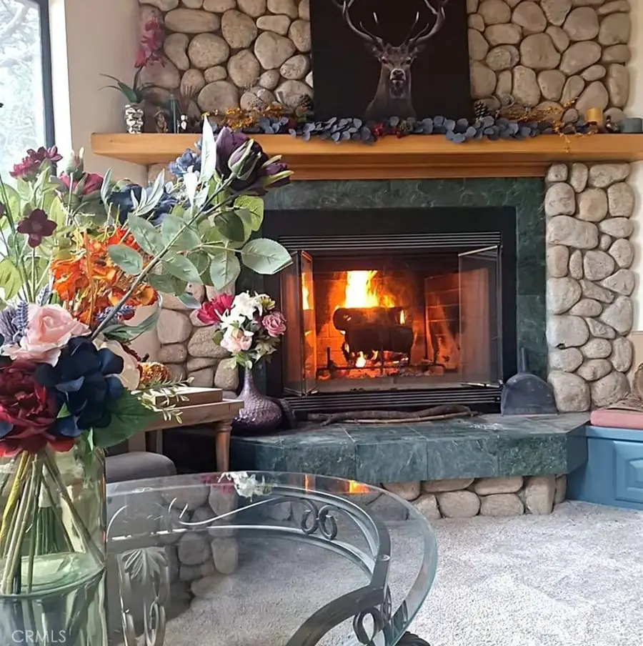 21425 Sawpit Canyon Road, Cedarpines Park, CA 92322 - #3