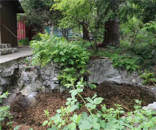 13992 Irving Lane, Lytle Creek, CA 92358