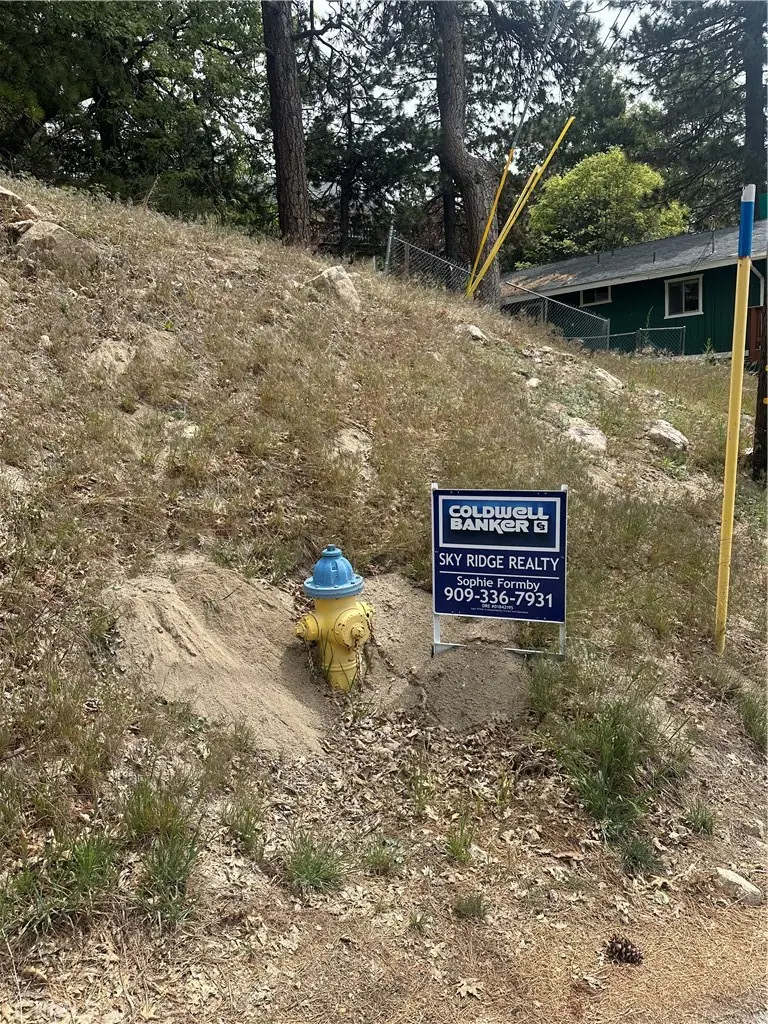 0 Deer Lick Lane, Running Springs, CA 92382 - #1