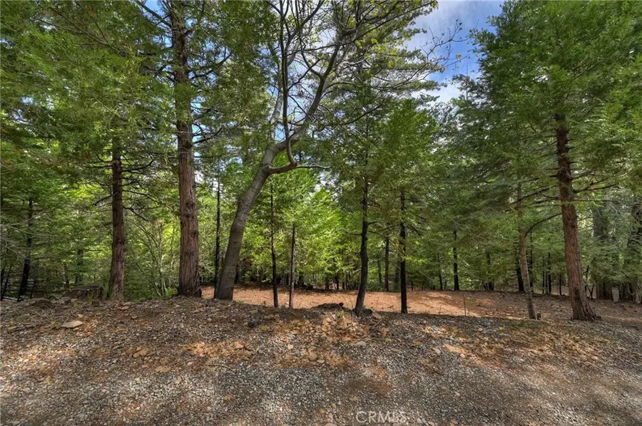 0 Stonehill Drive, Lake Arrowhead, CA 92385 - #3
