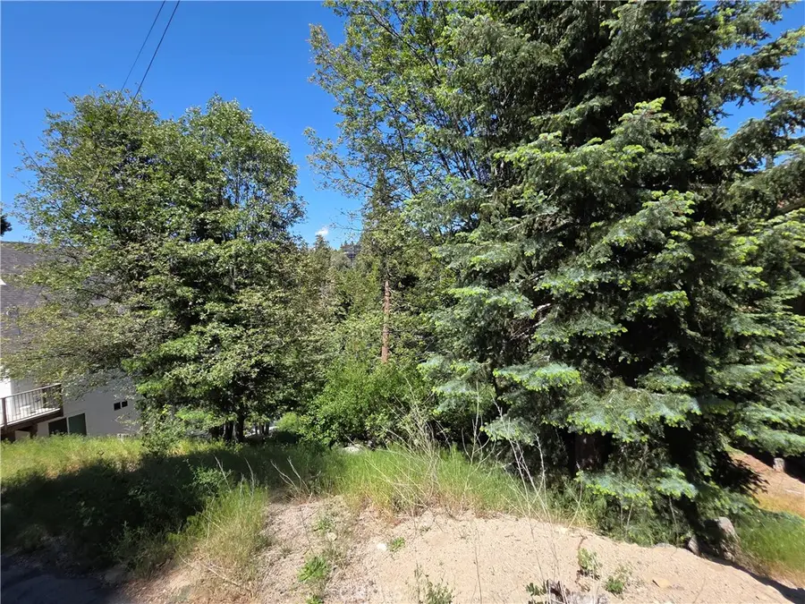 0 Shenandoah Drive, Lake Arrowhead, CA 92352 - #2