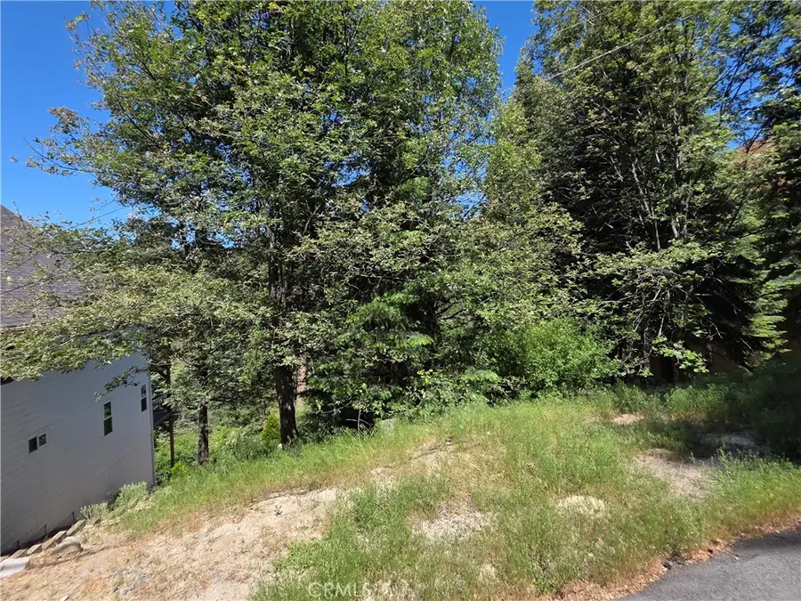 0 Shenandoah Drive, Lake Arrowhead, CA 92352 - #3