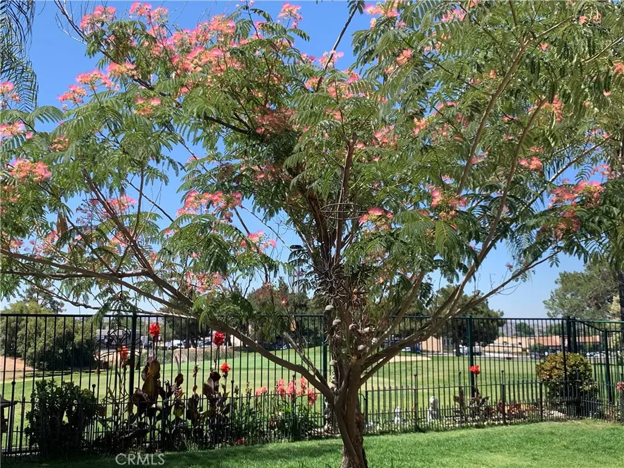 33111 Eagle Point, Yucaipa, CA 92399 - #3