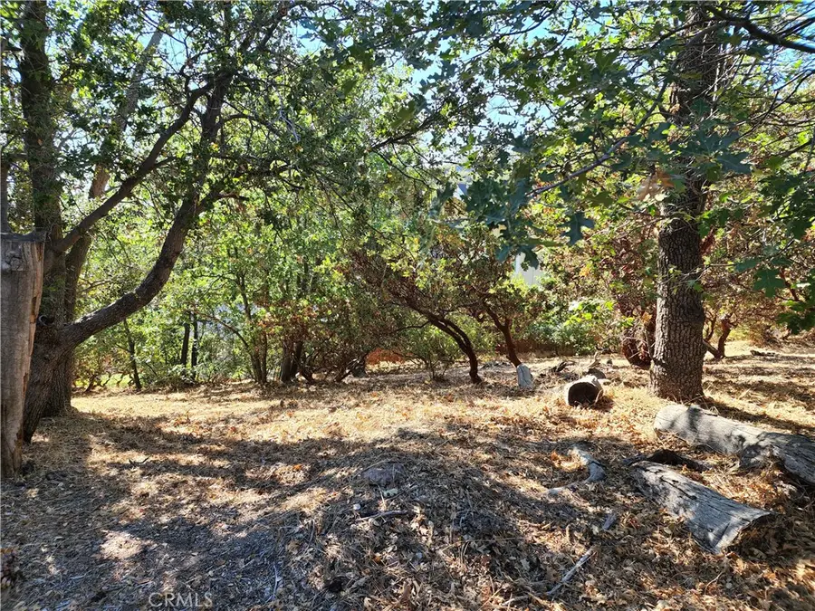 1248 Glacier Drive, Lake Arrowhead, CA 92352 - #2