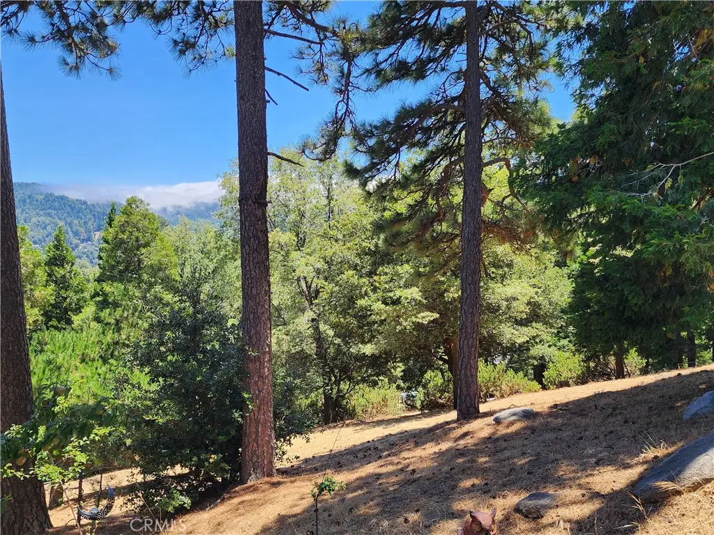 315 Weisshorn Drive, Crestline, CA 92325 - #1