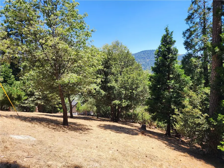 315 Weisshorn Drive, Crestline, CA 92325 - #3
