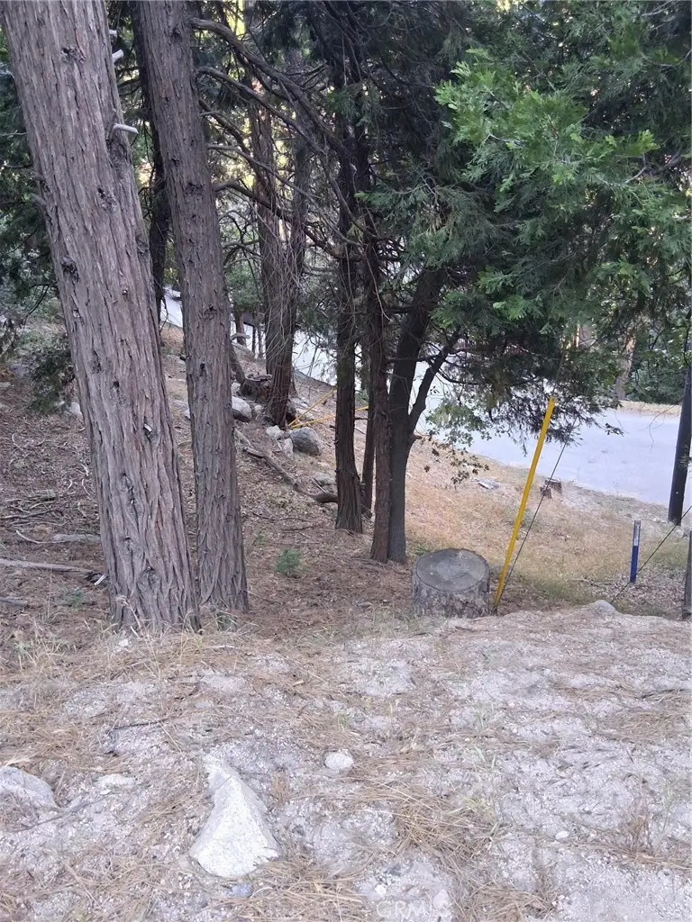 6 Finhaut Drive, Crestline, CA 92325 - #3