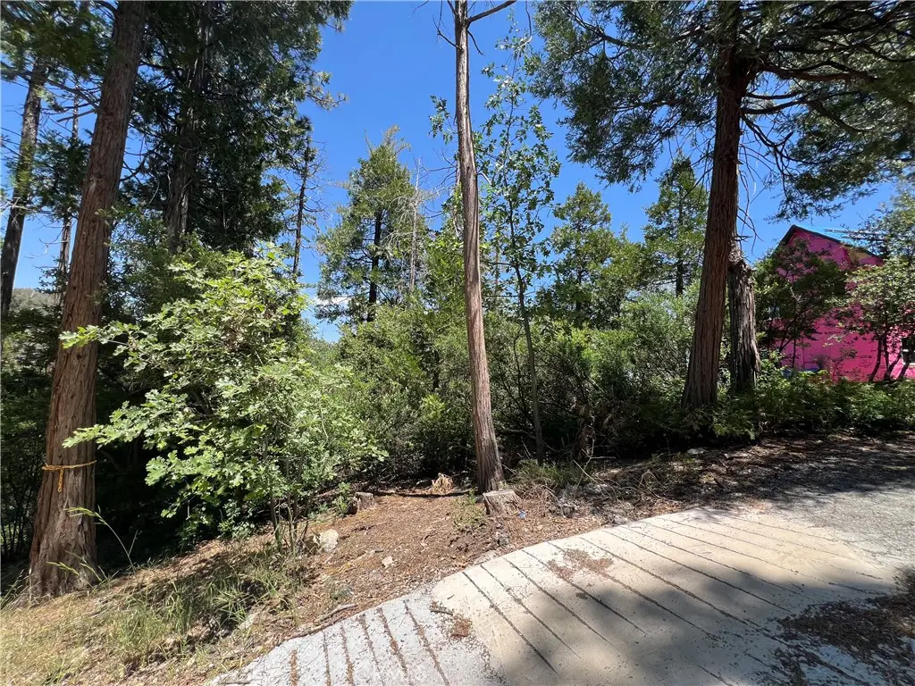 27530 North Bay Road, Lake Arrowhead, CA 92352 - #1