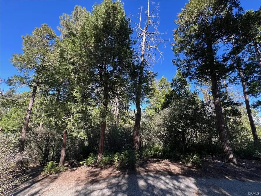 27530 North Bay Road, Lake Arrowhead, CA 92352 - #3