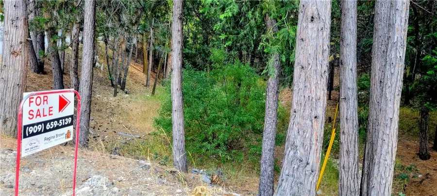 0 Grass Valley, Lake Arrowhead, CA 92352 - #3