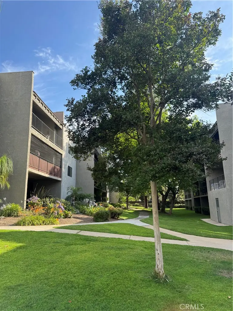 242 E Fern #205, Redlands, CA 92373 - #1