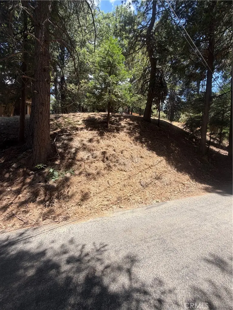 0 Dart Canyon, Crestline, CA 92325 - #1
