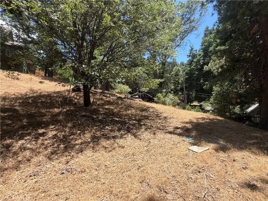 0 Dart Canyon, Crestline, CA 92325 - #3