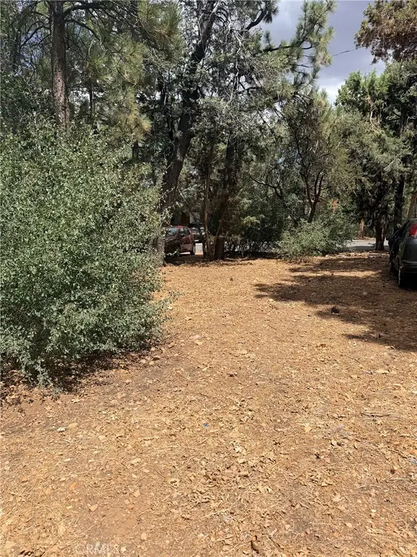 0 Imperial Avenue, Sugarloaf, CA 92386