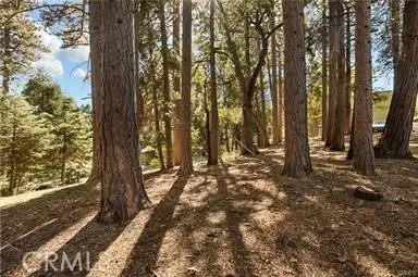 0 Valley View, Running Springs, CA 92382 - #3