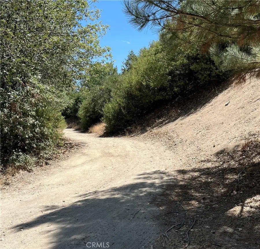 0 Hill Drive, Cedar Glen, CA 92321 - #2
