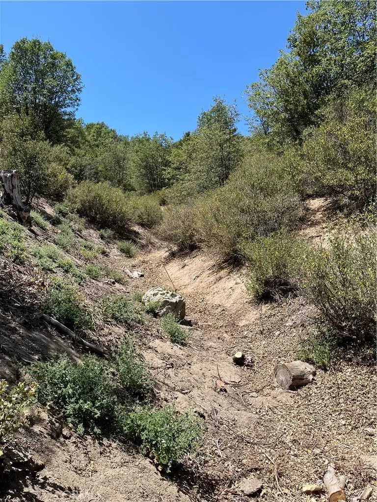0 Hill Drive, Cedar Glen, CA 92321 - #3