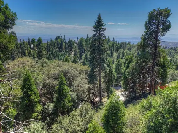 31070 Old City Creek, Running Springs, CA 92382