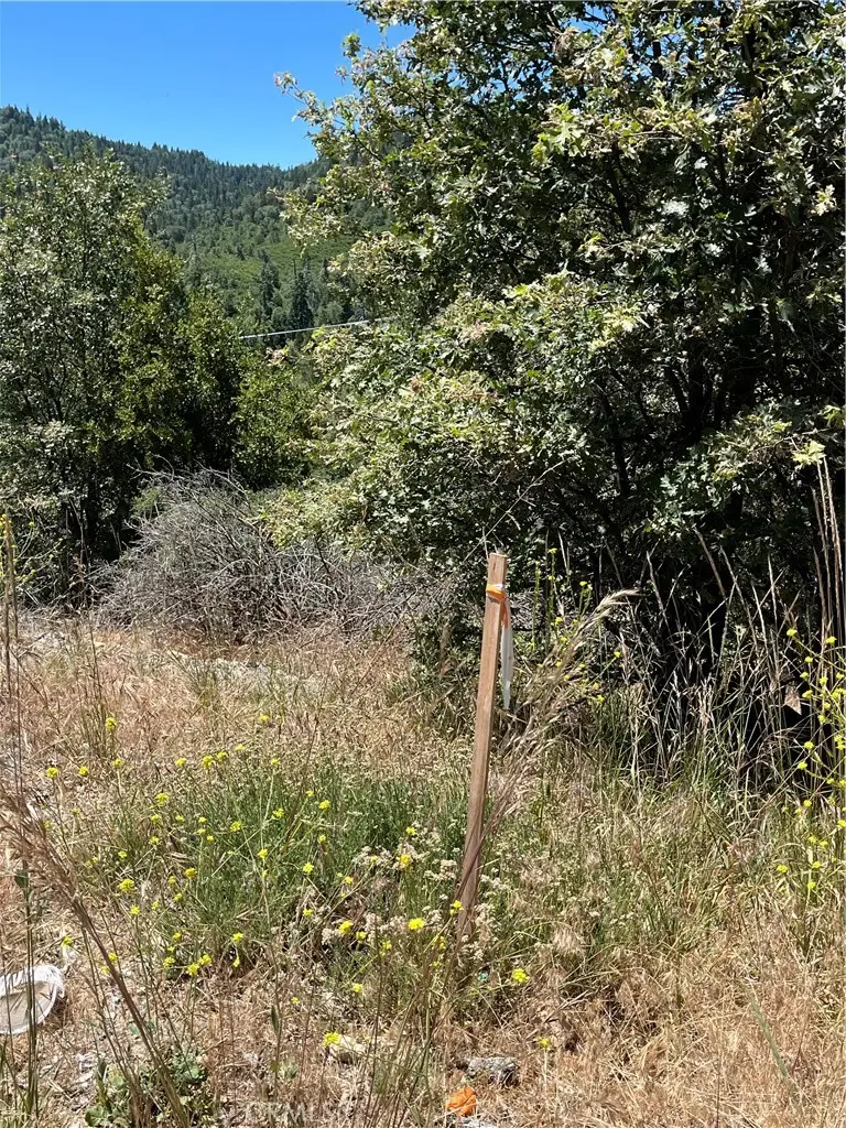 0 Balsam Way, Cedar Glen, CA 92321 - #3