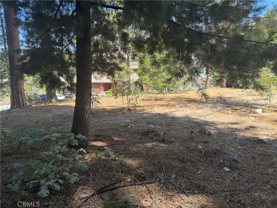 27586 Meadow Bay, Lake Arrowhead, CA 92352 - #2