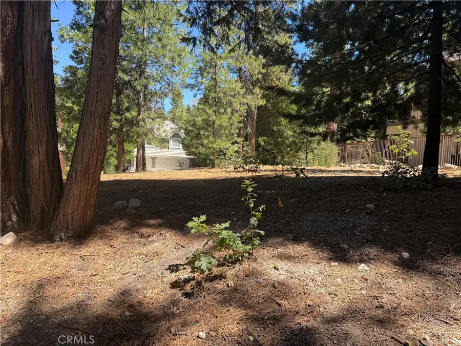 27586 Meadow Bay, Lake Arrowhead, CA 92352 - #3