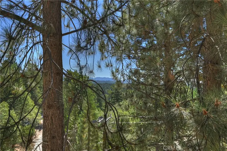 1753 Nob Hill Drive, Running Springs, CA 92382 - #3