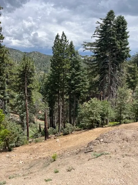 2349 Deep Creek, Running Springs, CA 92382