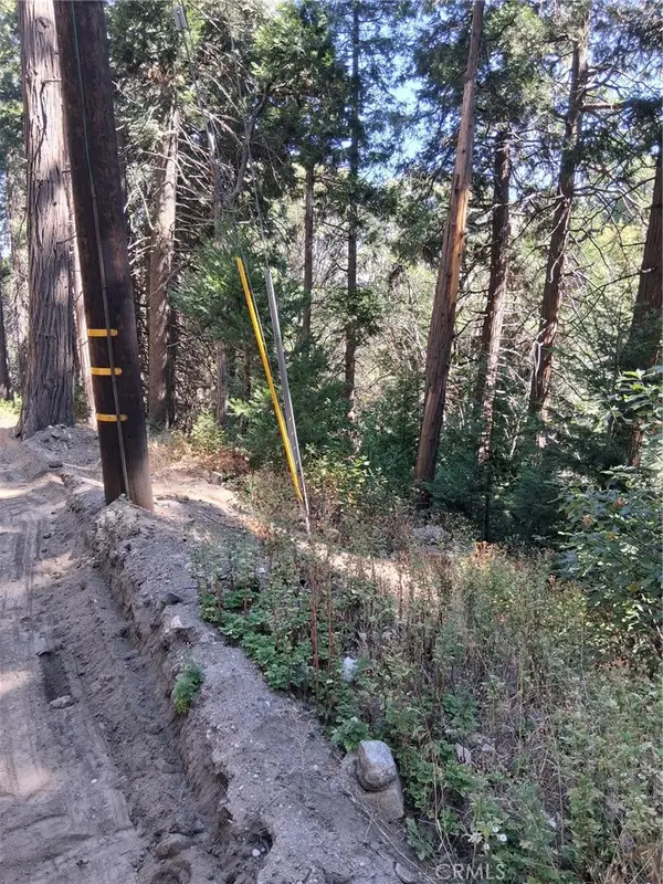 14 Burnt Mill Canyon Road, Cedarpines Park, CA 92322