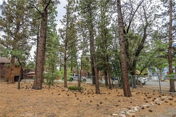 620 Pine, Sugarloaf, CA 92386