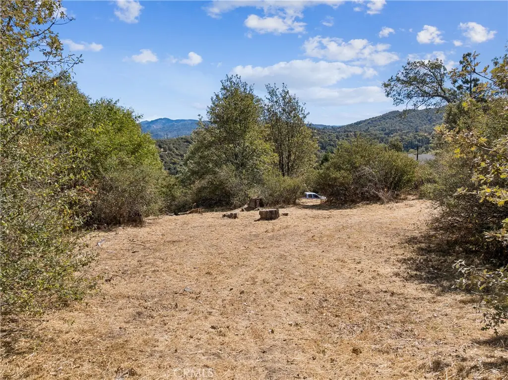 289 Glen Avon Drive, Cedar Glen, CA 92321 - #1