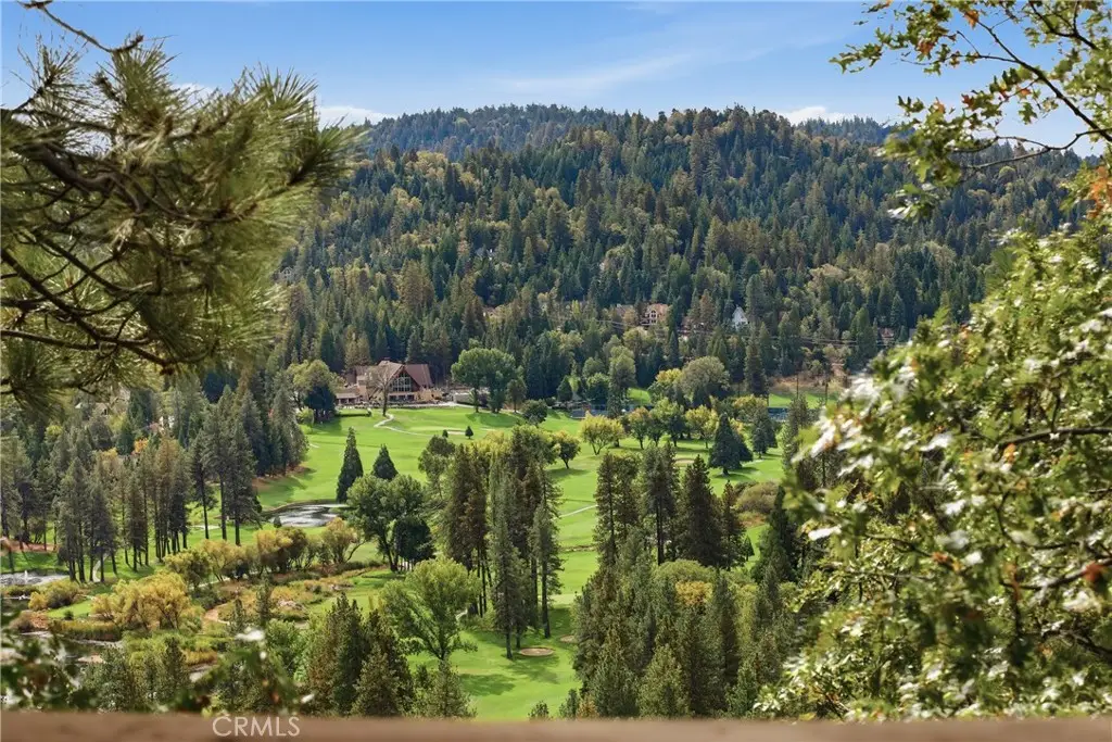 869 Sonoma, Lake Arrowhead, CA 92352 - #1