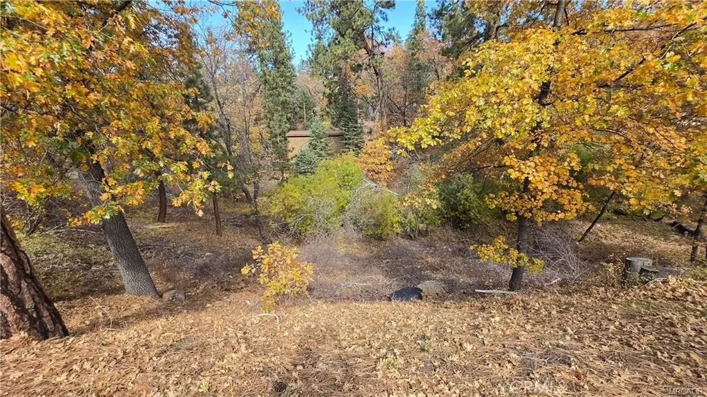 1000 Butte Avenue, Big Bear, CA 92314 - #1